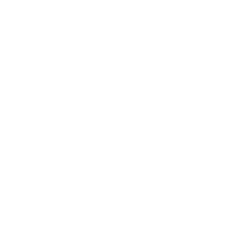 Arbor Realty Trust, Inc. Share Price